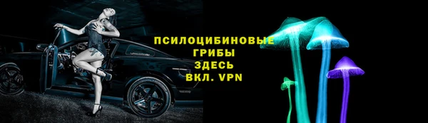 дживик Абаза