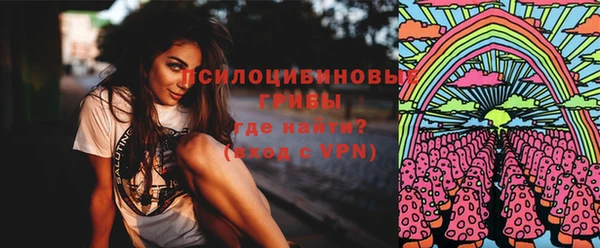 дживик Абаза