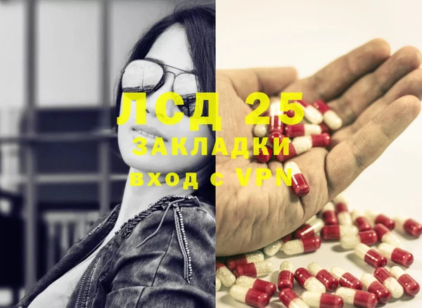 дживик Абаза