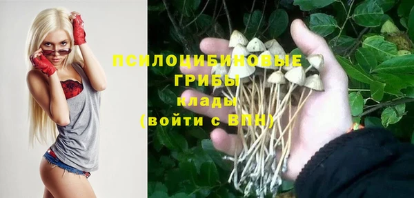 СК Алексеевка