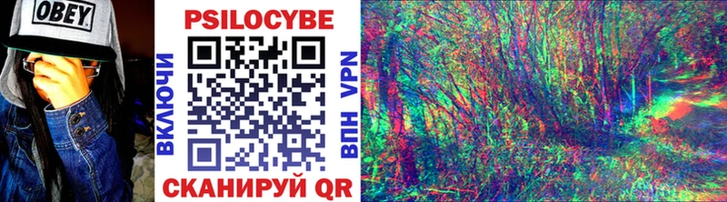 blacksprut зеркало купить наркоту Татарск Галлюциногенные грибы мицелий